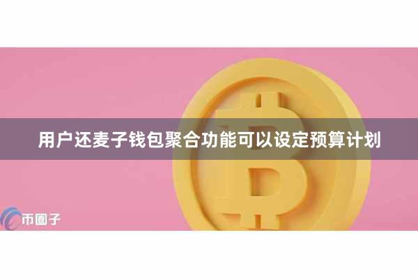 用户还麦子钱包聚合功能可以设定预算计划