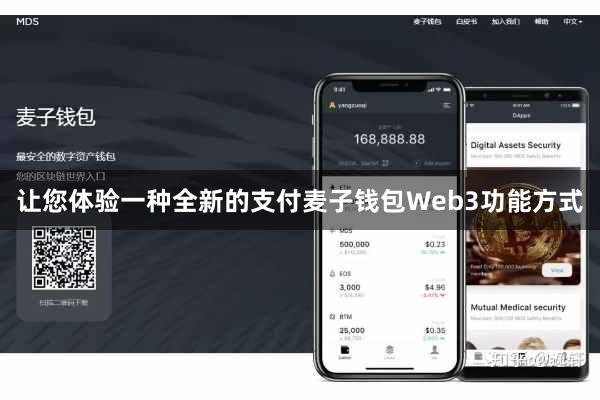 让您体验一种全新的支付麦子钱包Web3功能方式