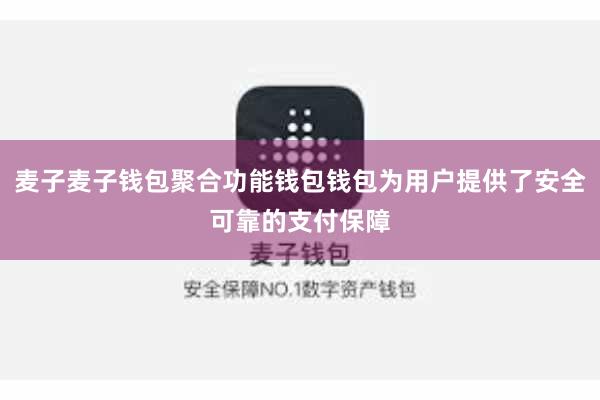 麦子麦子钱包聚合功能钱包钱包为用户提供了安全可靠的支付保障