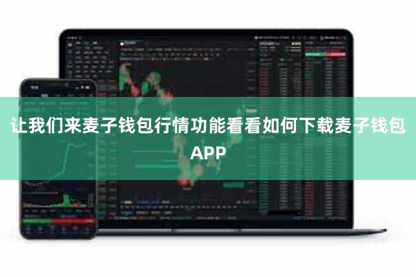 让我们来麦子钱包行情功能看看如何下载麦子钱包APP