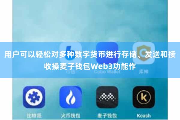 用户可以轻松对多种数字货币进行存储、发送和接收操麦子钱包Web3功能作