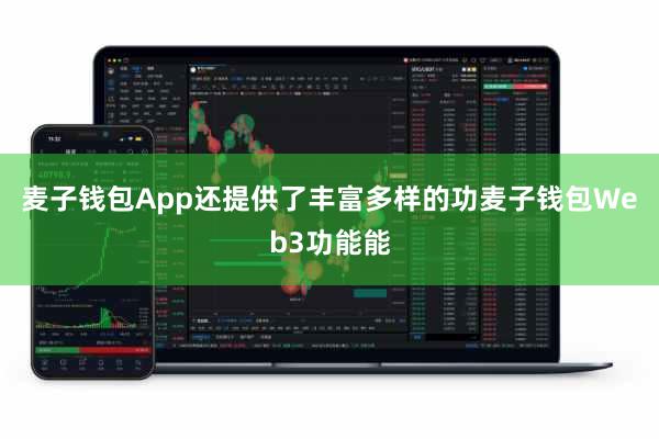 麦子钱包App还提供了丰富多样的功麦子钱包Web3功能能