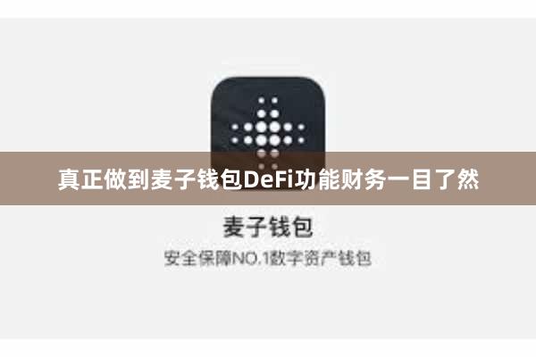 真正做到麦子钱包DeFi功能财务一目了然