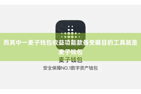而其中一麦子钱包收益功能款备受瞩目的工具就是麦子钱包