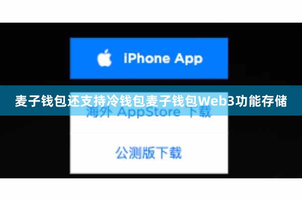 麦子钱包还支持冷钱包麦子钱包Web3功能存储