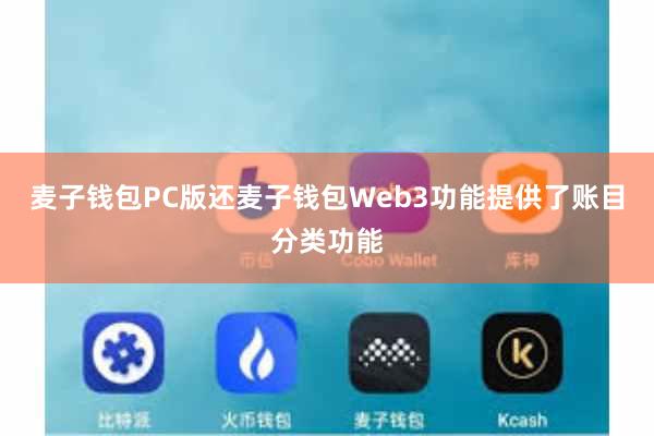 麦子钱包PC版还麦子钱包Web3功能提供了账目分类功能