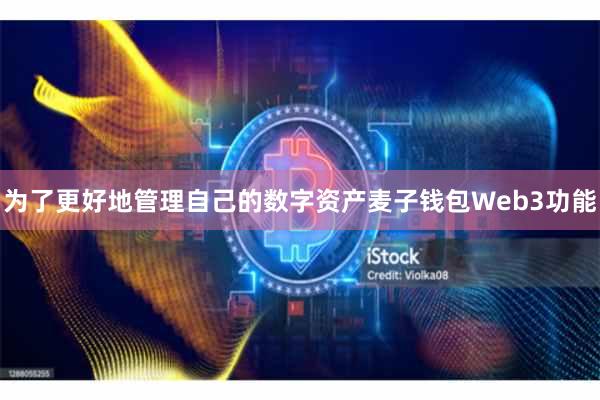 为了更好地管理自己的数字资产麦子钱包Web3功能