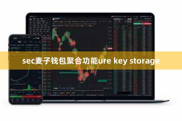 sec麦子钱包聚合功能ure key storage