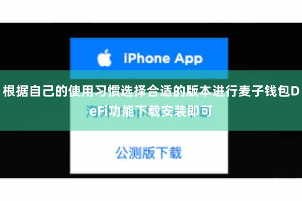 根据自己的使用习惯选择合适的版本进行麦子钱包DeFi功能下载安装即可