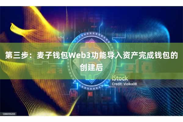 第三步：麦子钱包Web3功能导入资产完成钱包的创建后