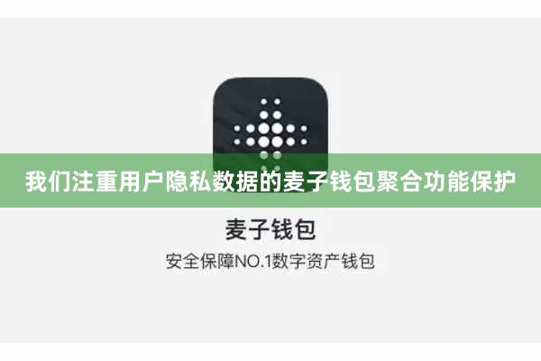 我们注重用户隐私数据的麦子钱包聚合功能保护