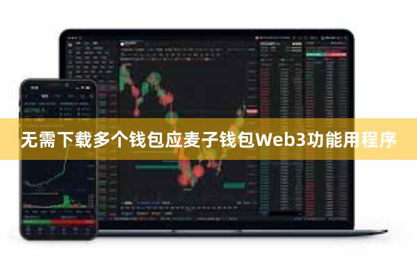 无需下载多个钱包应麦子钱包Web3功能用程序