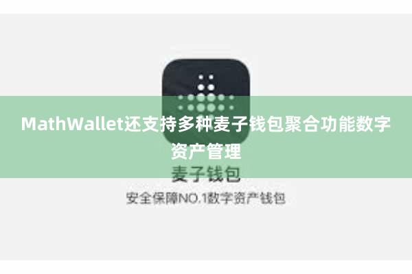 MathWallet还支持多种麦子钱包聚合功能数字资产管理