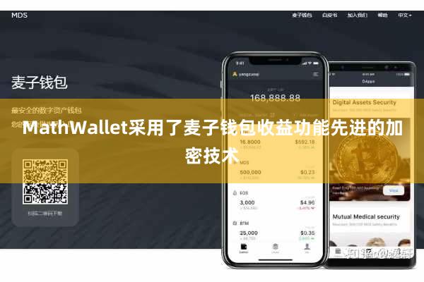 MathWallet采用了麦子钱包收益功能先进的加密技术